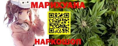 сатива Бийск
