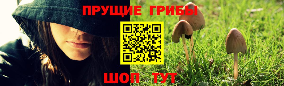 Псилоцибиновые грибы MAGIC MUSHROOMS Каспийск