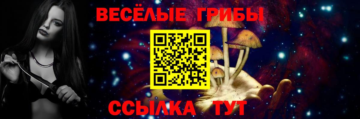 Галлюциногенные грибы GOLDEN TEACHER  Вход с VPN  Каспийск  Галлюциногенные грибы ЛСД 